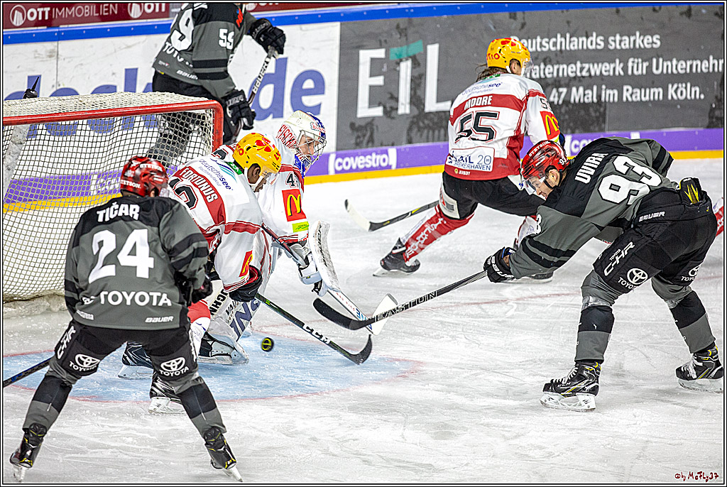 DEL; Koelner Haie - Fischtown Pinguins Bremerhaven, 06.01.2019